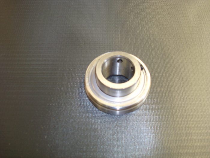 Sealed Bearing for Rotor